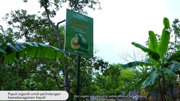 Community Program Sido Muncul