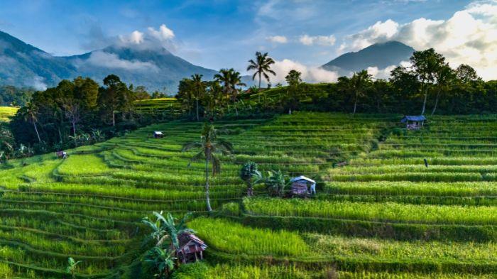 Desa Jatiluwih, Bali