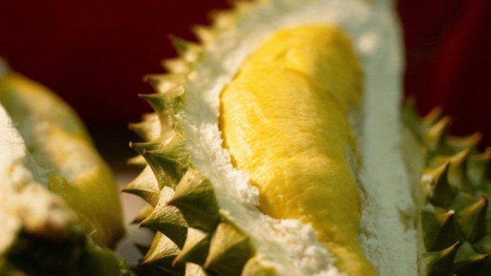 Durian Thailand OK ____