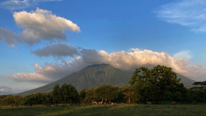 EKOWISATA ALAM INDONESIA – Taman Nasional Baluran, sabana luas yang dijuluki “Africa van Java.” Destinasi wisata alam ini menawarkan lanskap eksotis dengan keanekaragaman hayati yang kaya, ideal untuk trekking dan birdwatching (Wikimedia Commons).