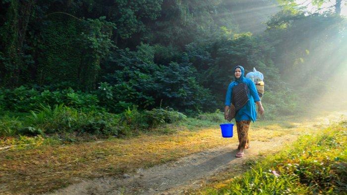 Jamu dan Alam Indonesia: Warisan Sehat yang Wajib Dijaga Bersama