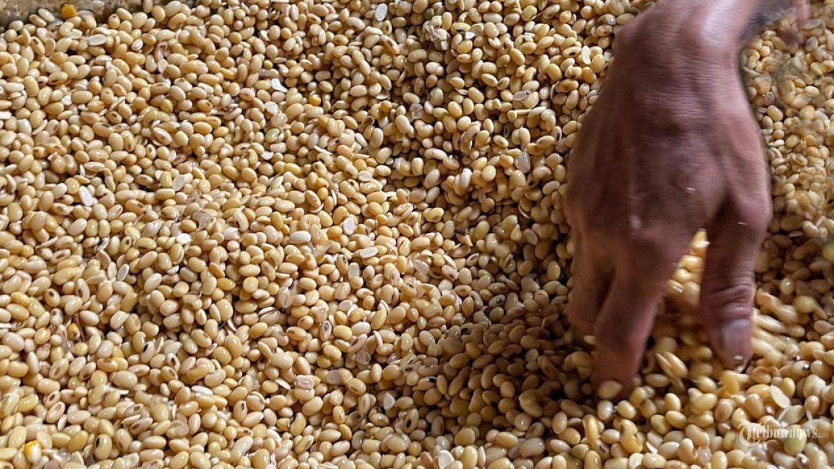 Perajin membuat tempe darin kedelai impor di Sentra Industri Tempe Sanan Kota Malang, Jawa Timur, Selasa (22/4/2025). Harga kedelai impor yang terus merangkak naik dari Rp 9.100 menjadi Rp 9.950 per kilogram sejak dua pekan terakhir sebagai dampak tarif Amerika Serikat membuat perajin tempe setempat memperkecil ukuran tempe dan mengurangi produksi dari lima kwintal menjadi empat kwintal per hari. SURYA/PURWANTO