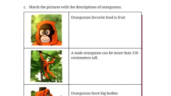 KUNCI JAWABAN - Tangkapan layar buku Bahasa Inggris Kelas 9 Halaman 47 Kurikulum Merdeka diunduh Minggu, (20/72025). Kunci jawaban Bahasa Inggris Kelas 9 Halaman 47 Kurikulum Merdeka, Worksheet 1.8, Section 2 Reading, Unit 2. Orangutan and Gorilla, Chapter 1.