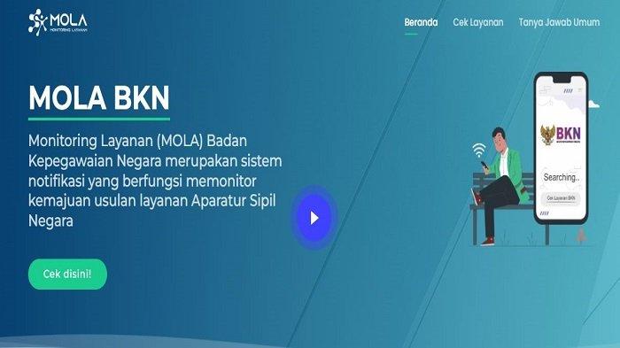 Cara Cek Penetapan NIP PPPK di MOLA BKN, Ini Notifikasi dan