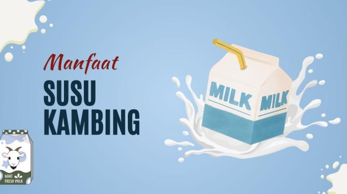 Susu Kambing: Lebih dari Sekadar Alternatif! 7 Manfaat Kesehatan & Panduan Konsumsi yang Benar