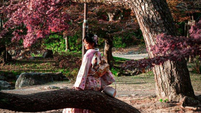 Maruyama Park, satu tempat terbaik menyaksikan sakura di Jepang