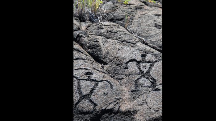PETROGLIF - Contoh ukiran batu Hawaii
