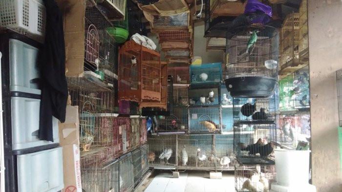 Pasar Barito di Jaksel Tinggal Kenangan, Para Pedagang Diliputi Kecemasan