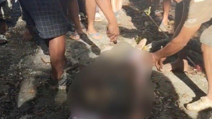 PRIA DITELAN ULAR - Penampakan ular 8 meter yang menelan seorang warga di Kelurahan Majapahit, Kecamatan Batauga, Kabupaten Buton Selatan, Sulawesi Tenggara (Sultra), Sabtu (5/7/2025). Dalam kejadian tersebut pria berinisial LN (61) tewas.