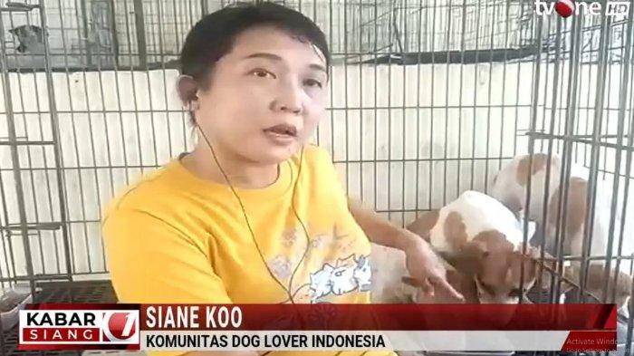 ANJING MEMANGSA MAJIKAN - Perwakilan Komunitas Dog Lover Indonesia Siane Koo saat bersama anjing-anjing yang diduga telah memangsa majikannya di Surabaya, Jawa Timur.
