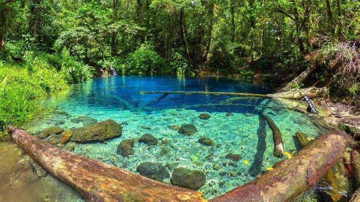 Danau Kaco, Permata Alam Indonesia yang Tersembunyi di Tengah Hutan Jambi