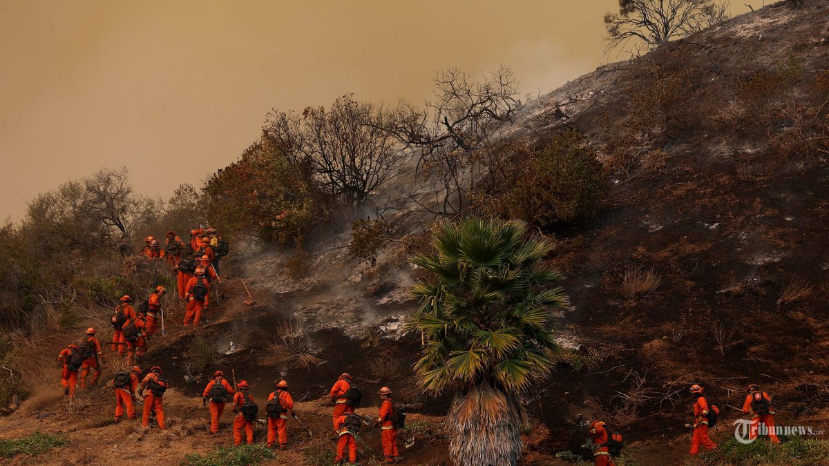 KEBAKARAN BESAR - Petugas pemadam kebakaran narapidana menggali garis pembatas saat mereka memadamkan Kebakaran Palisades pada 11 Januari 2025 di Los Angeles, California. Kebakaran Palisades telah meluas hingga lebih dari 22.000 hektar dan telah menghancurkan ribuan rumah. Api saat ini sudah dapat dipadamkan sebesar 11 persen.  