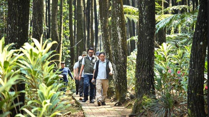 KELESTARIAN HUTAN - Menteri Kehutanan (Menhut) Raja Juli Antoni dan wakil menteri Sulaiman Umar saat mengunjungi Taman Wisata Alam (TWA) Gunung Pancar, Bogor, Jawa Barat, Jumat (28/2/2025). Raja Juli Antoni mengajak publik untuk melakukan refleksi atas kontribusi terhadap kelestarian hutan.