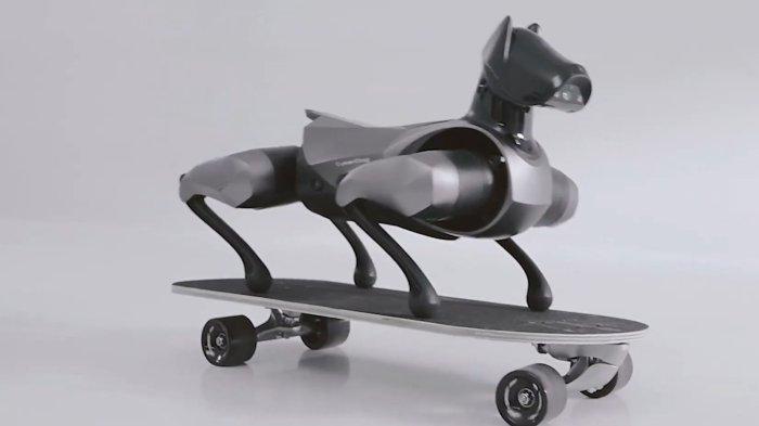 ROBOT ANJING PINTAR - Robot anjing pintar CyberDog 2 buatan Xiaomi saat bermain skateboard.