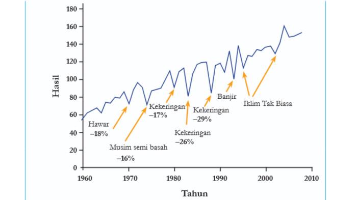 GRAFIK PRODUKSI JAGUNG - Soal grafik produksi jagung ini diambil dari Buku Ilmu Pengetahuan Alam untuk SMP/MTs Kelas IX Halaman 178 pada Selasa (22/7/2025).