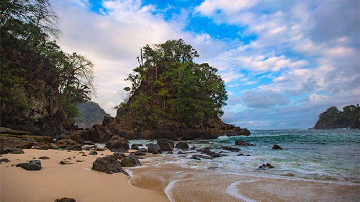 Taman Nasional Meru Betiri: Simfoni Alam, Satwa, dan Budaya Indonesia