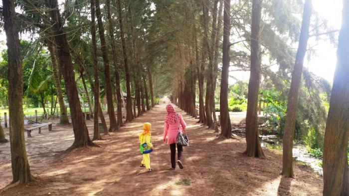 Bangka Botanical Garden di Kelurahan Temberan, Kecamatan Bukit Intan, Kota Pangkalpinang, Kepulauan Bangka Belitung.