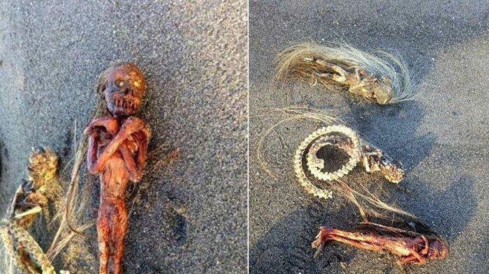 Cerita Penemuan 3 Jenglot di Pantai Padang Galak Bali, Didoakan Lalu Dibuang Kembali ke Laut