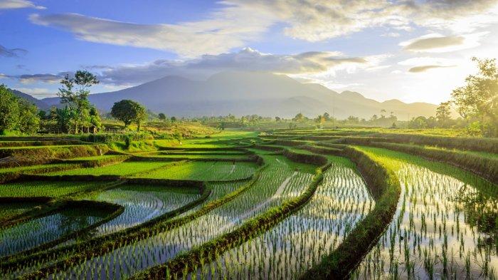 Keunikan Bentang Alam Indonesia, Keindahan Surga Tropis yang Patut Dijaga