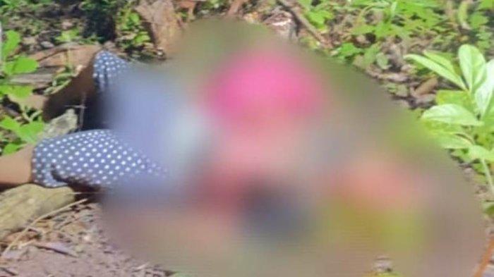 KAKAK BERADIK TEWAS - Kondisi kedua jasad kakak beradik saat ditemukan di tepi jurang Dusun Teba Langgar Pekon Batu Raja Kecamatan Pesisir Utara, Kabupaten Pesisir Barat, Lampung. Penemuan jasad itu terjadi pada Rabu (14/5/2025). Kedua bocah tersebut diduga menjadi korban pembunuhan.