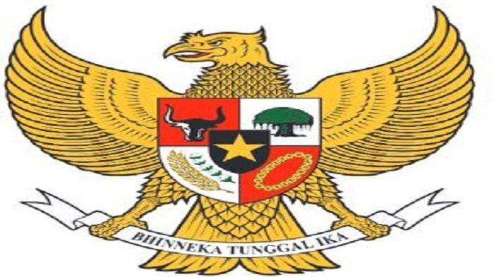 KUNCFD