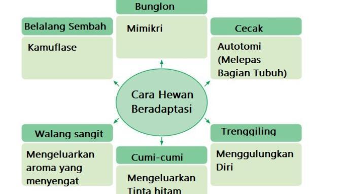 Kunci Jawaban Tema 2 Kelas 6 Halaman 73