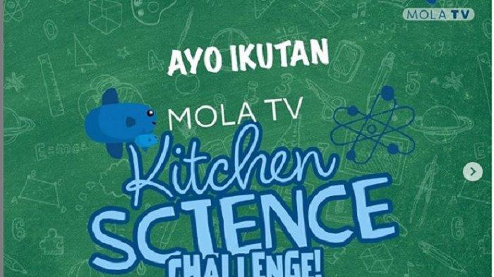 Mola TV Kembali Gelar Kompetisi Tahap 2 'Mola TV Family Challenge
