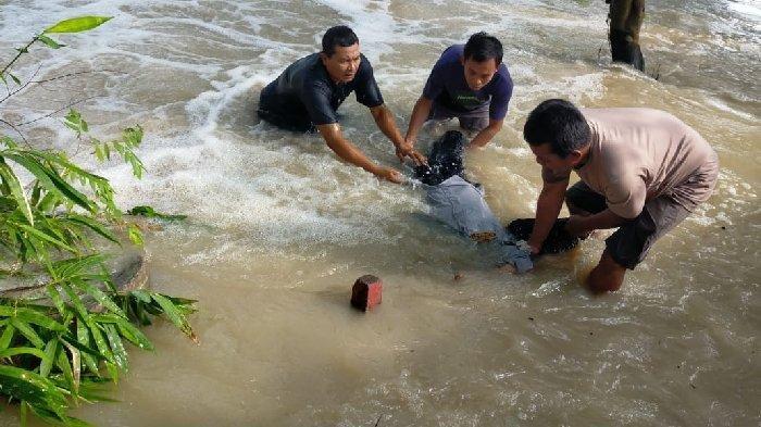 ILUSTRASI BANJIR DI BALIKPAPAN 