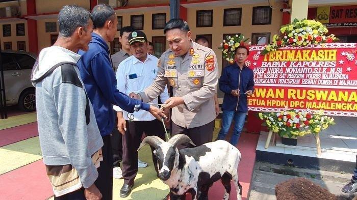 Pengembalian kambing curian OK