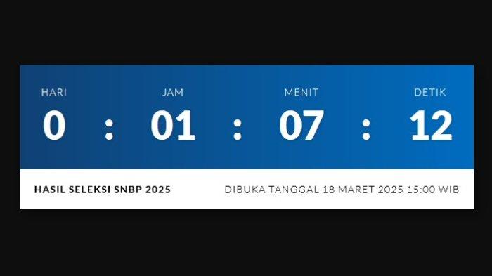 45 Link dan Cara Membuka Pengumuman SNBP 2025, Diumumkan Hari Ini Pukul 15.00 WIB
