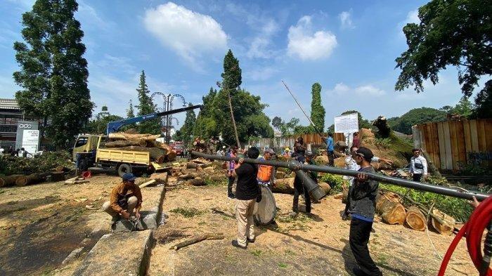 EVAKUASI POHON TUMBANG - Petugas mengevakuasi pohon tumbang di Jalan Ir Djuanda, Kelurahan Dago, Kecamatan Coblong, Kota Bandung, Minggu (18/5/2025). Tiga orang menjadi korban tumbangnya pohon raksasa berusia 110 tahun ini.