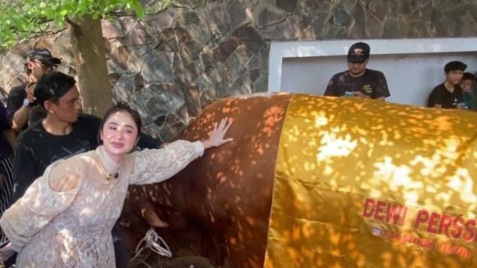 DEWI PERSSIK KURBAN - Pedangdut Dewi Perssik berkurban dua sapi limosin dengan berat 1,2 ton di kediamannya kawasan Lebak Bulus, Jakarta Selatan, Jumat (6/6/2025). Dewi Perssik beri nama dua sapinya Upin dan Ipin dengan harapan segera diberikan jodoh.