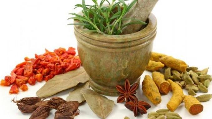 Masa Depan Obat Herbal di Indonesia Untuk Fungsi Kesehatan - TribunNews.com