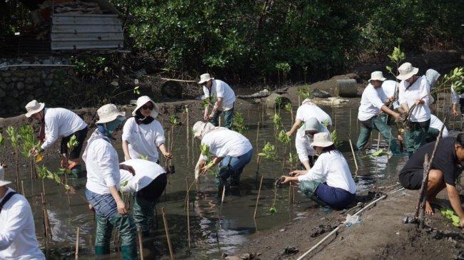 Peringati Hari Mangrove