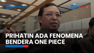 Sekjen Demokrat Setuju Pengibaran Bendera One Piece Ditertibkan