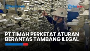 PT Timah Tingkatkan Aturan Kerjasama dan Pengawasan Berantas Tambang Ilegal