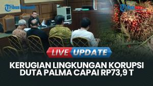 Guru Besar IPB: Kerugian Lingkungan Kasus Korupsi Duta Palma Capai Rp73,9 Triliun