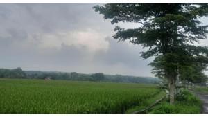 Update Cuaca 5 April 2026: Waspada Potensi Hujan Sangat Lebat di Aceh hingga Jawa Barat