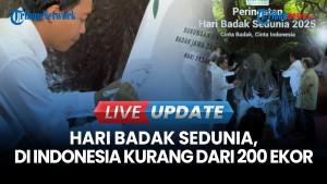 Badak Nusantara Diambang Punah, Populasi Badak Jawa dan Sumatera Kurang dari 100 Ekor