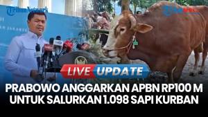 Prabowo Salurkan 1.098 Sapi Kurban Premium ke Seluruh Indonesia: Anggaran Tembus Rp100 Miliar