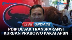 PDIP Desak Transparansi Sapi Prabowo Pakai APBN, Sebut Tak Sah Kurbannya