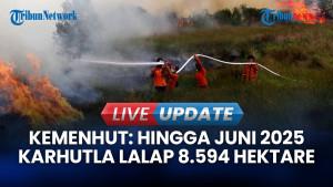 Kemenhut: Hingga Juni 2025 Kebakaran Hutan dan Lahan Lalap 8.594 Hektare