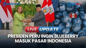 Temui Presiden Prabowo, Presiden Peru Ingin Blueberry dan Delima Masuk Pasar Indonesia