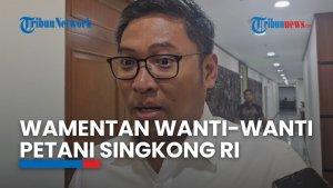 Saat Wamentan Sudaryono Ingatkan Petani Singkong Lebih Perhatikan Kualitas saat Menanam