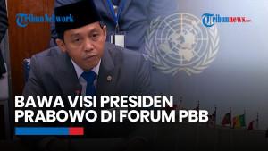 Raja Juli di Forum PBB: Tegaskan Visi Presiden Prabowo soal Hutan Berkelanjutan