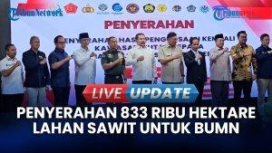 Satgas PKH Serahkan 833 Ribu Hektare Lahan Sawit untuk Dikelola Perusahaan BUMN