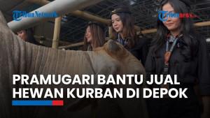 Jelang Idul Adha, Mall Hewan Kurban Haji Doni di Depok Hadirkan SPG Berkostum Pramugari
