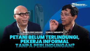 Petani Belum Terlindungi, Pekerja Informal Tanpa Perlindungan? | TRIBUN CORNER