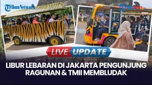 H+2 Lebaran 2026: Pengunjung TMII Tembus 18 Ribu & Pengunjung Ragunan Hingga 60 Ribu
