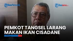 Tercemar Limbah, Pemkot Tangsel Larang Warga Makan Ikan Dari Cisadane